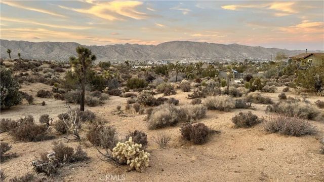55370 Bunny, Yucca Valley, CA 92284