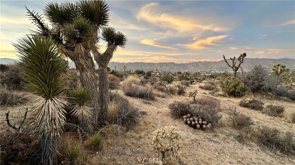 55370 Bunny, Yucca Valley, CA 92284