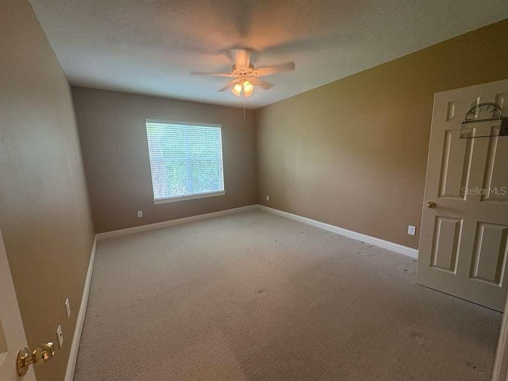 Image 15 of property listing at 3511 HEARDS FERRY DRIVE, Tampa, FL 33618