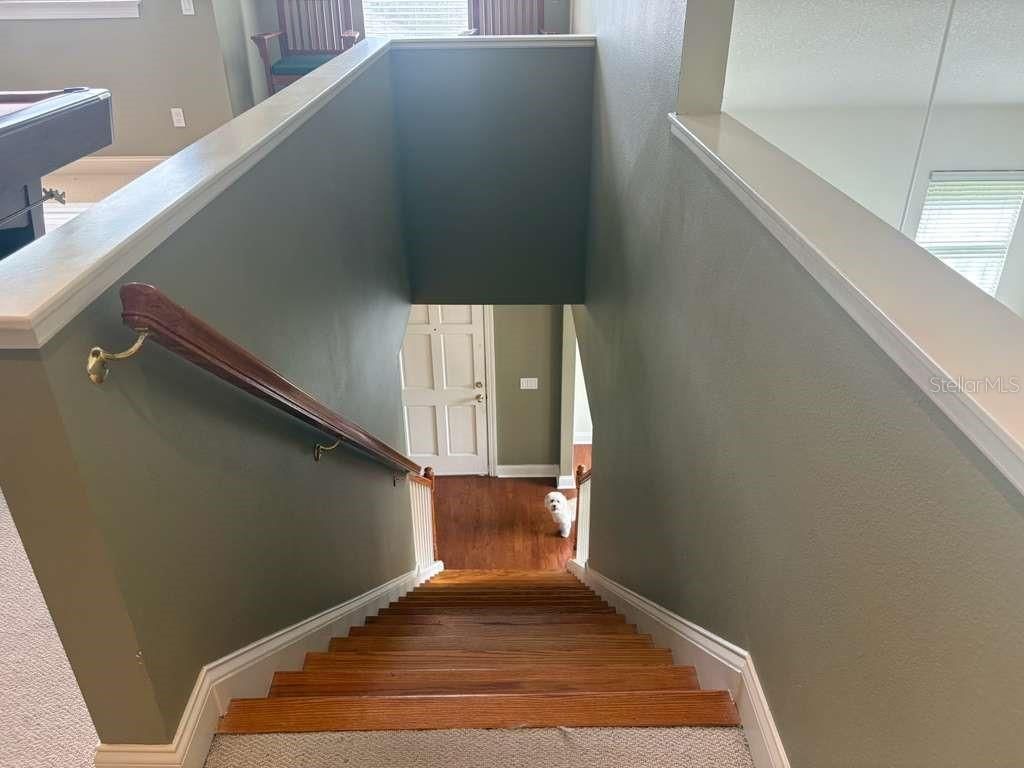 Image 21 of property listing at 3511 HEARDS FERRY DRIVE, Tampa, FL 33618