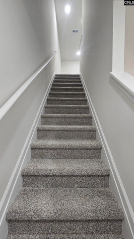 264 Sunny Hill Drive, Blythewood, SC 29016