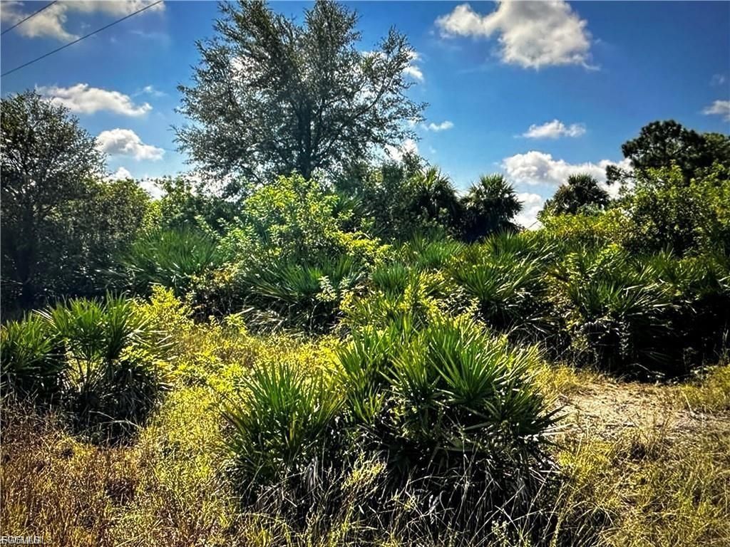 7644 14th TER, Labelle, FL 33935