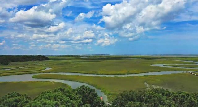 628 Parrot Point Drive, Charleston, SC 29412
