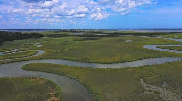 628 Parrot Point Drive, Charleston, SC 29412