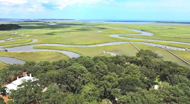 628 Parrot Point Drive, Charleston, SC 29412
