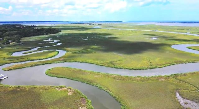 628 Parrot Point Drive, Charleston, SC 29412