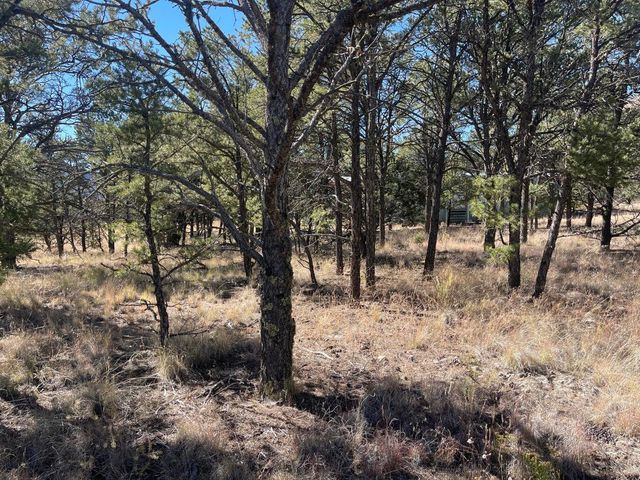 111 HOMESTEAD Trail, Datil, NM 87821