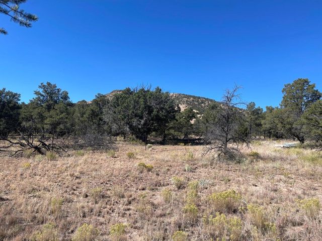 111 HOMESTEAD Trail, Datil, NM 87821