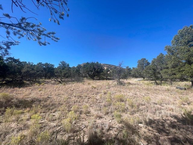 111 HOMESTEAD Trail, Datil, NM 87821