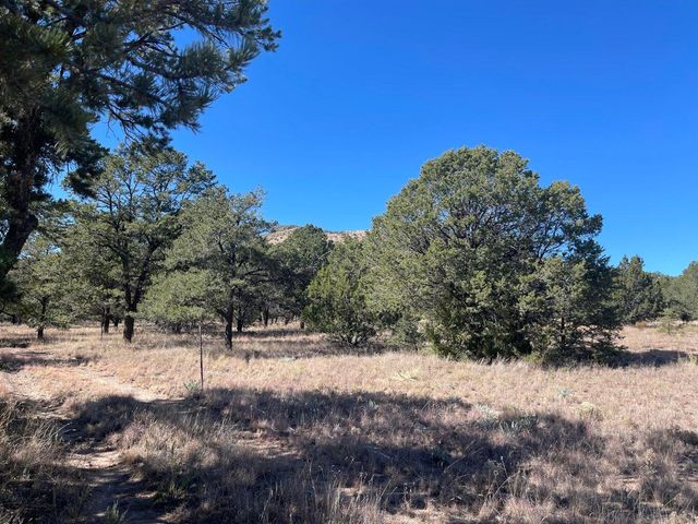 111 HOMESTEAD Trail, Datil, NM 87821