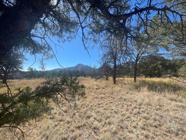 111 HOMESTEAD Trail, Datil, NM 87821