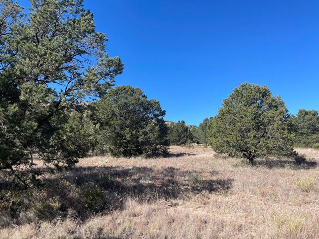 111 HOMESTEAD Trail, Datil, NM 87821