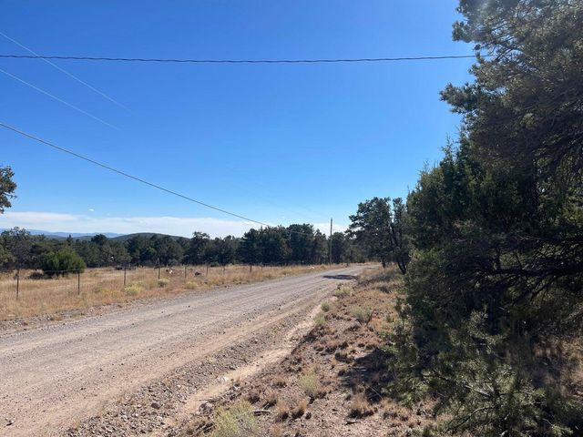 111 HOMESTEAD Trail, Datil, NM 87821