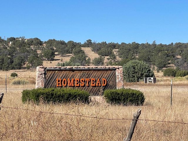 111 HOMESTEAD Trail, Datil, NM 87821
