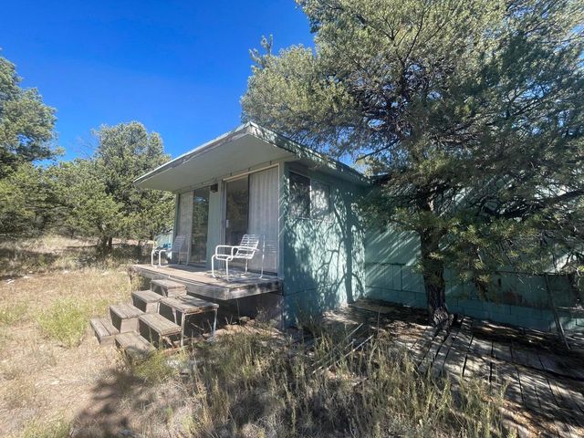 111 HOMESTEAD Trail, Datil, NM 87821