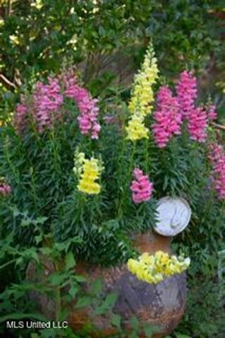 176 Will Stutely Drive, Brandon, MS 39042