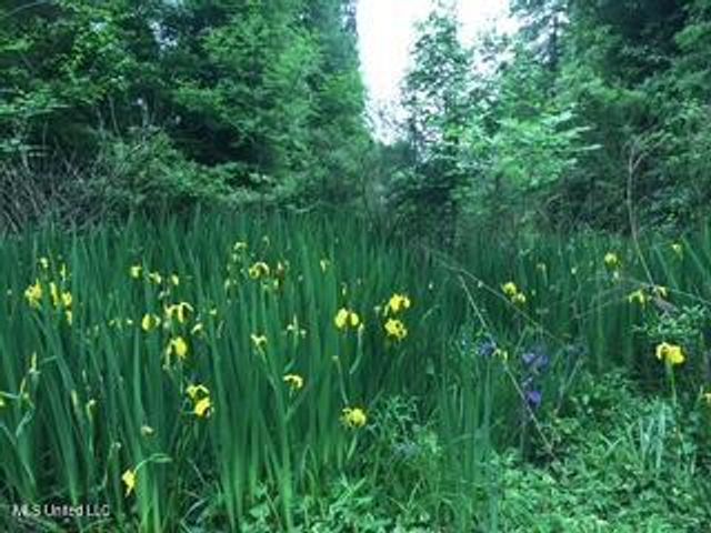 176 Will Stutely Drive, Brandon, MS 39042