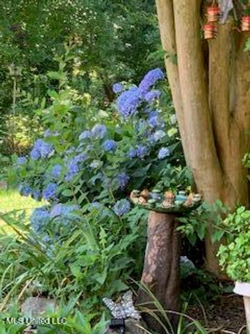 176 Will Stutely Drive, Brandon, MS 39042