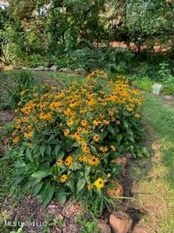 176 Will Stutely Drive, Brandon, MS 39042