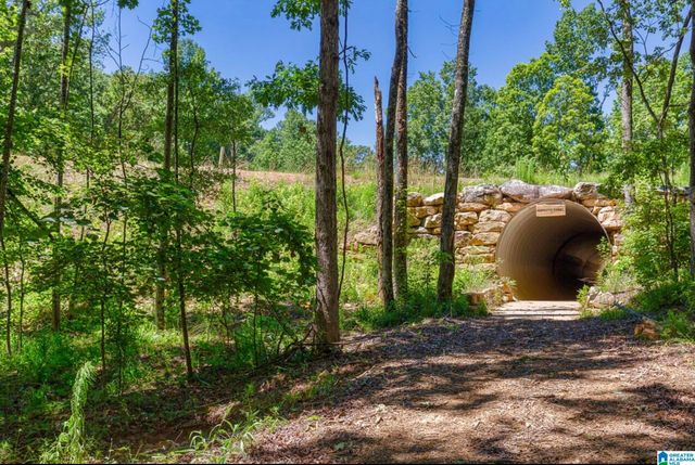 2024 LINDSAY LANE, Chelsea, AL 35043