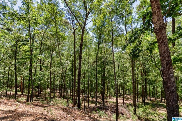 2024 LINDSAY LANE, Chelsea, AL 35043