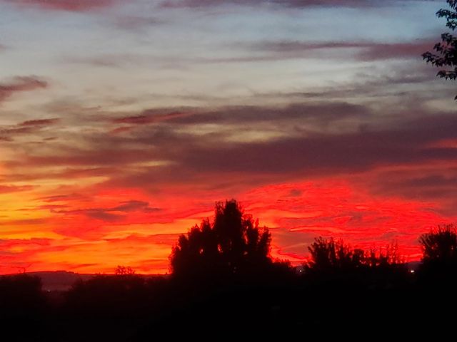 1025 N Olson Hill Ct, Medical Lake, WA 99022