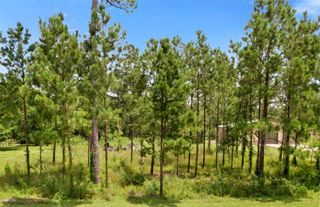 7203 Bayou Timbers Drive, Alvin, TX 77511