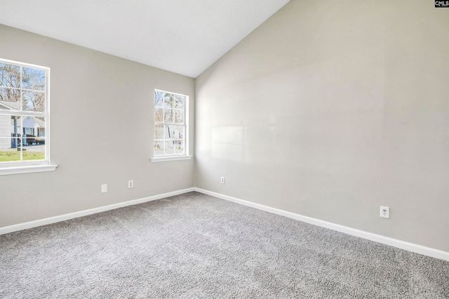 125 Northshore Drive, Chapin, SC 29036