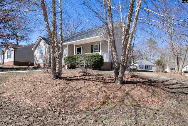 125 Northshore Drive, Chapin, SC 29036