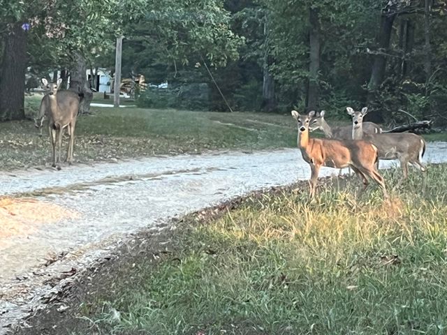 11221 E BOZARTH LN, Columbia, MO 65201