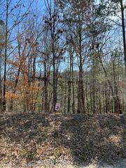 LT 3 Hunter Ridge, Ellijay, GA 30540