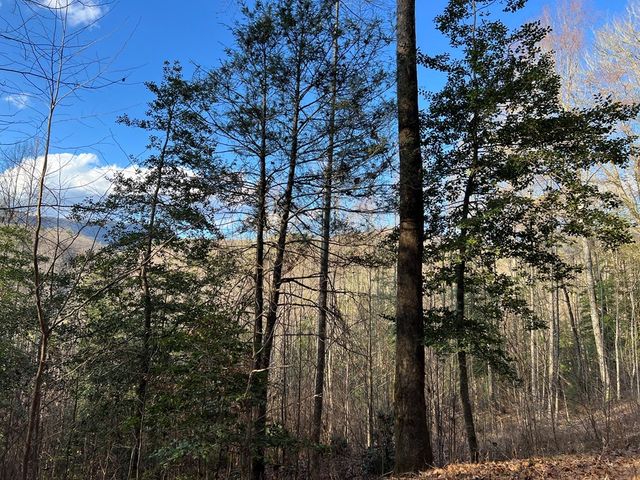 Lot 45 Tusquittee Crossing, Hayesville, NC 28904