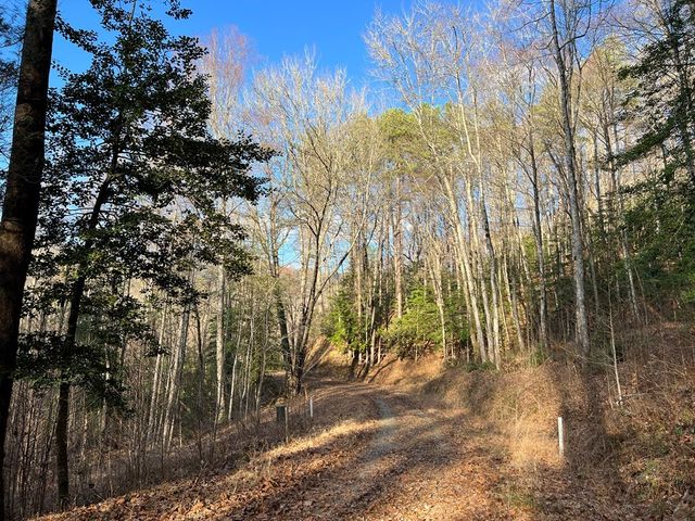Lot 45 Tusquittee Crossing, Hayesville, NC 28904