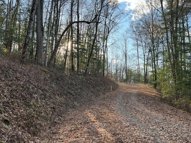 Lot 45 Tusquittee Crossing, Hayesville, NC 28904