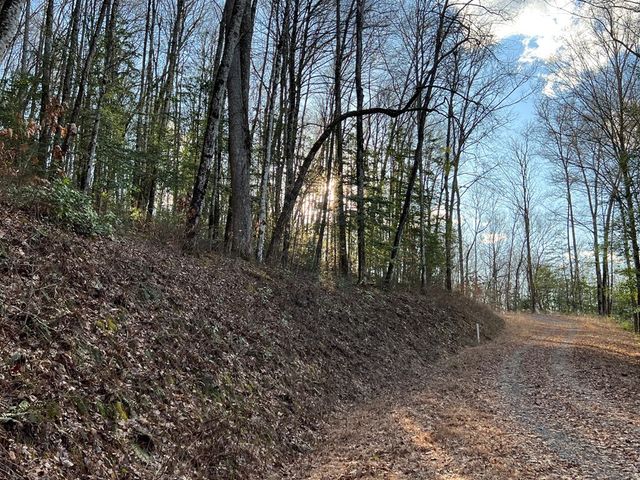 Lot 45 Tusquittee Crossing, Hayesville, NC 28904