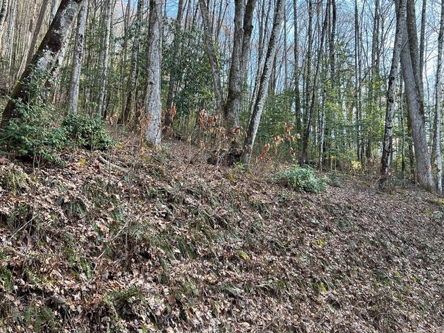 Lot 45 Tusquittee Crossing, Hayesville, NC 28904