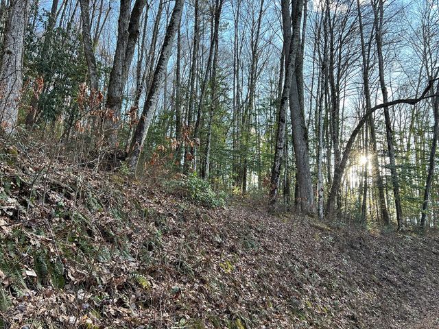Lot 45 Tusquittee Crossing, Hayesville, NC 28904