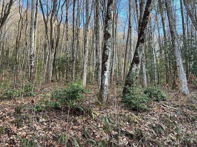 Lot 45 Tusquittee Crossing, Hayesville, NC 28904