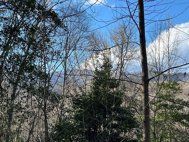 Lot 45 Tusquittee Crossing, Hayesville, NC 28904