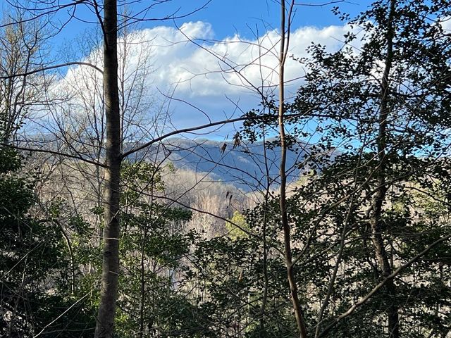 Lot 45 Tusquittee Crossing, Hayesville, NC 28904