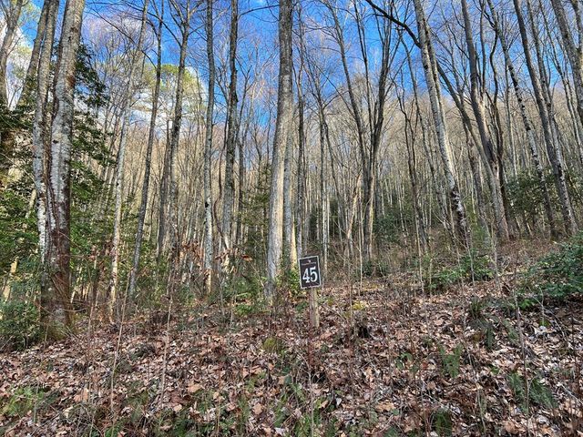 Lot 45 Tusquittee Crossing, Hayesville, NC 28904