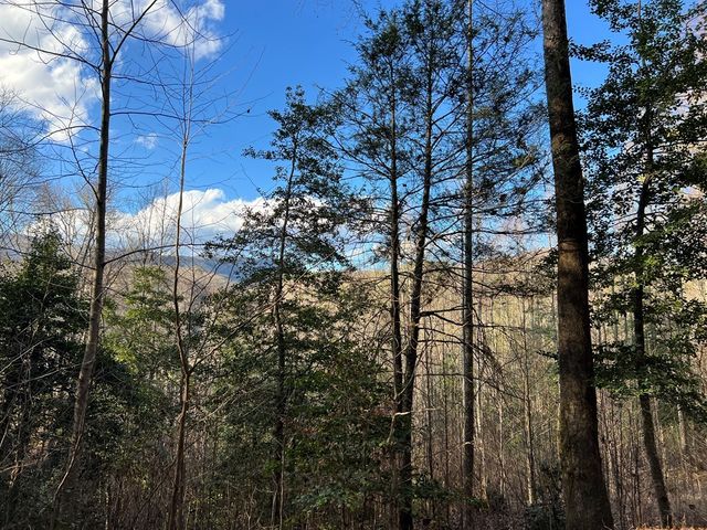 Lot 45 Tusquittee Crossing, Hayesville, NC 28904