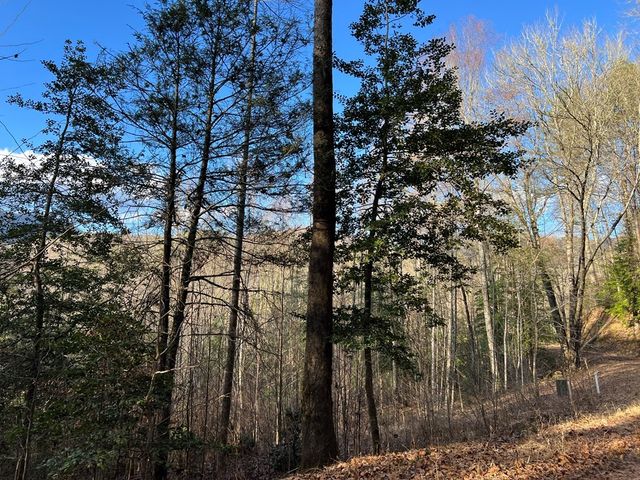 Lot 45 Tusquittee Crossing, Hayesville, NC 28904