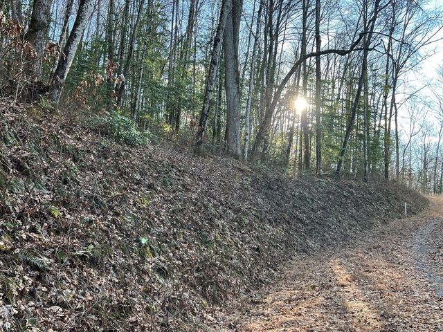 Lot 45 Tusquittee Crossing, Hayesville, NC 28904