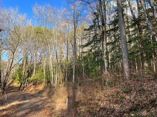 Lot 45 Tusquittee Crossing, Hayesville, NC 28904