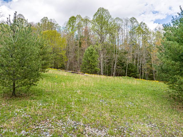 513 Beadwood Lane, Damascus, VA 24236