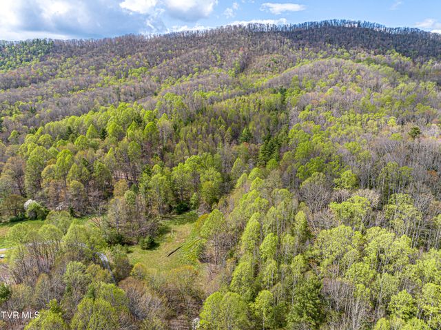 513 Beadwood Lane, Damascus, VA 24236