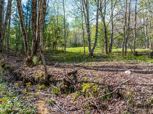 513 Beadwood Lane, Damascus, VA 24236