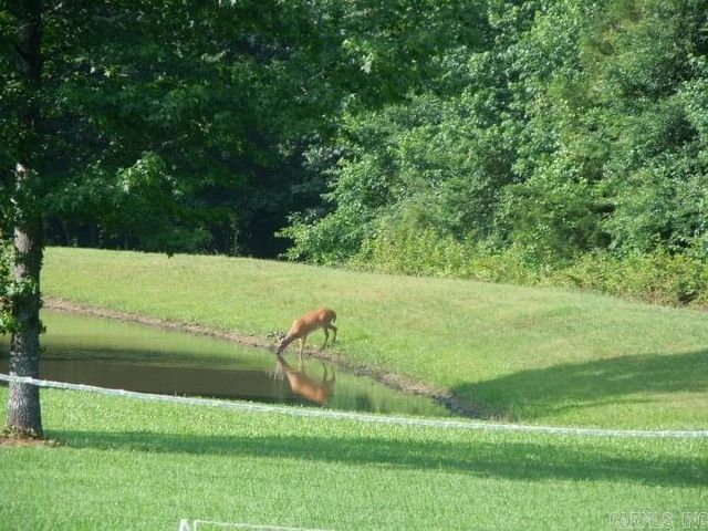 150 Wilson Lodge Drive, Judsonia, AR 72081