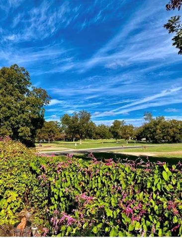 318 Columbine ST, Marble Falls, TX 78654